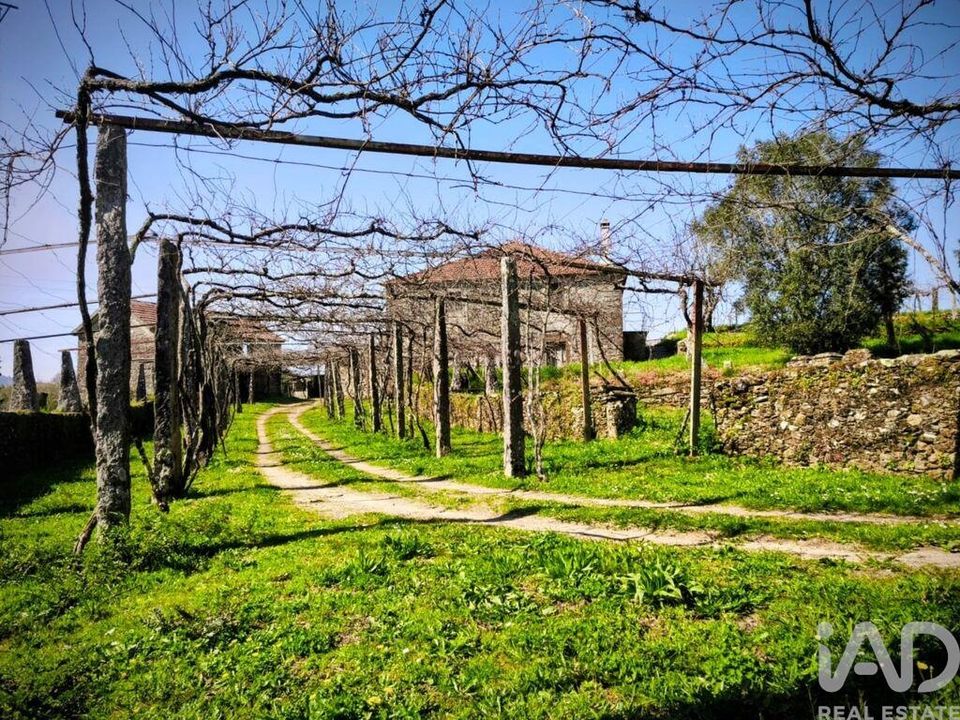 Farm i Caminha, Viana do Castelo - foto 2