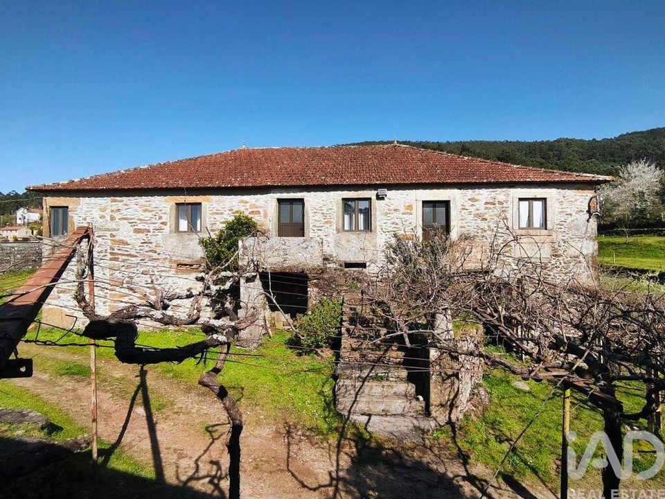 Farm i Caminha, Viana do Castelo - foto 3