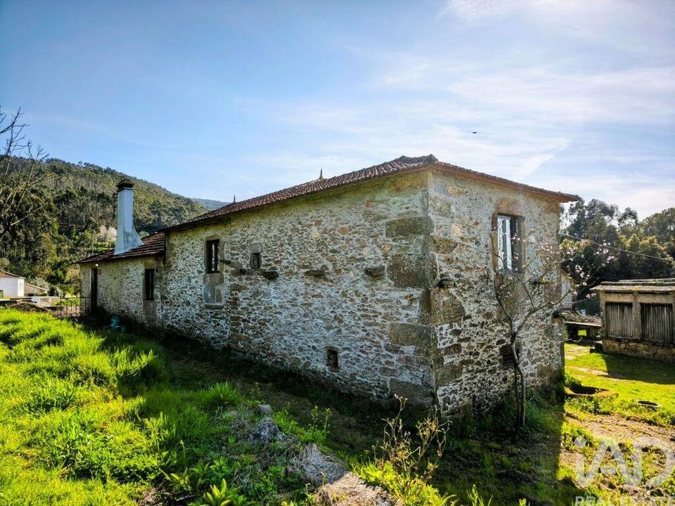 Farm i Caminha, Viana do Castelo - foto 5