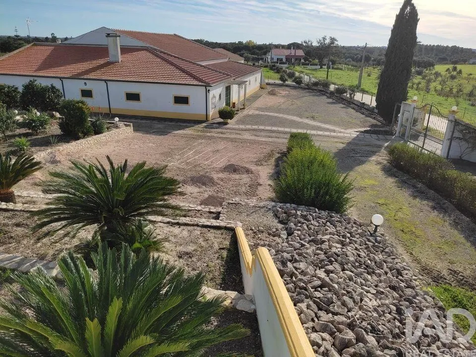 Farm i Coruche, Santarem - foto 1