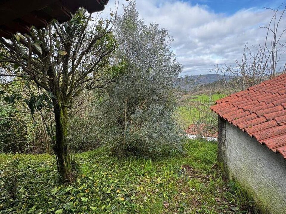 Byhus i Ponte de Lima, Viana do Castelo - foto 4
