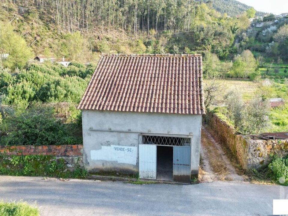 Helårsgrund i Penela, Coimbra - foto 2
