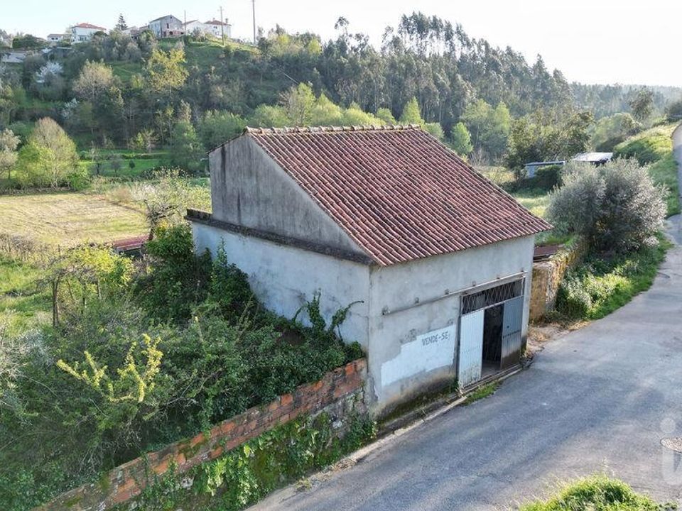 Helårsgrund i Penela, Coimbra - foto 3