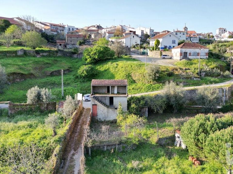 Helårsgrund i Penela, Coimbra - foto 5