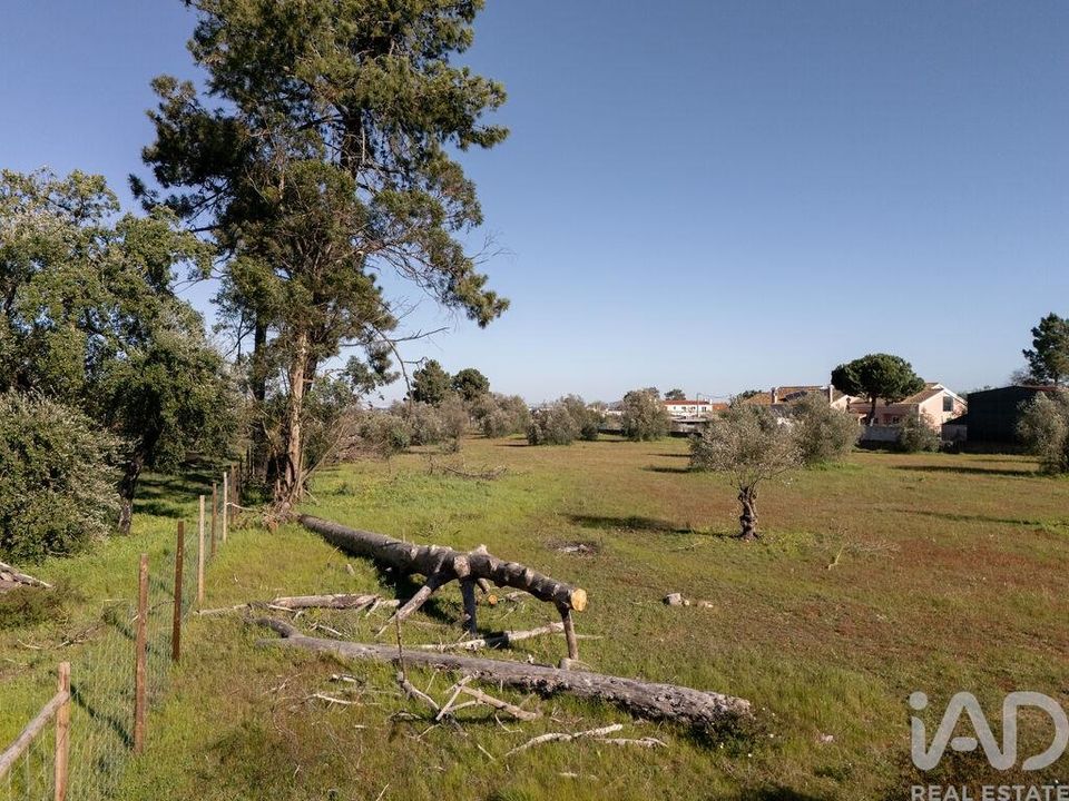 Helårsgrund i Setubal, Setubal - foto 4