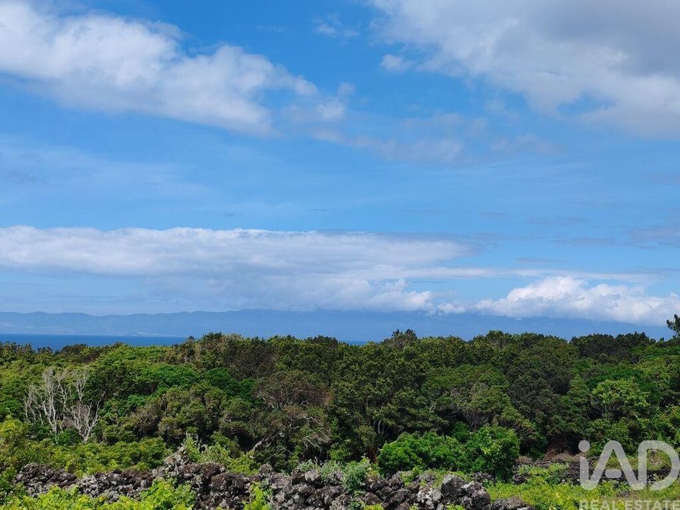 Tomt i Sao Roque do Pico, Pico - bilde 5