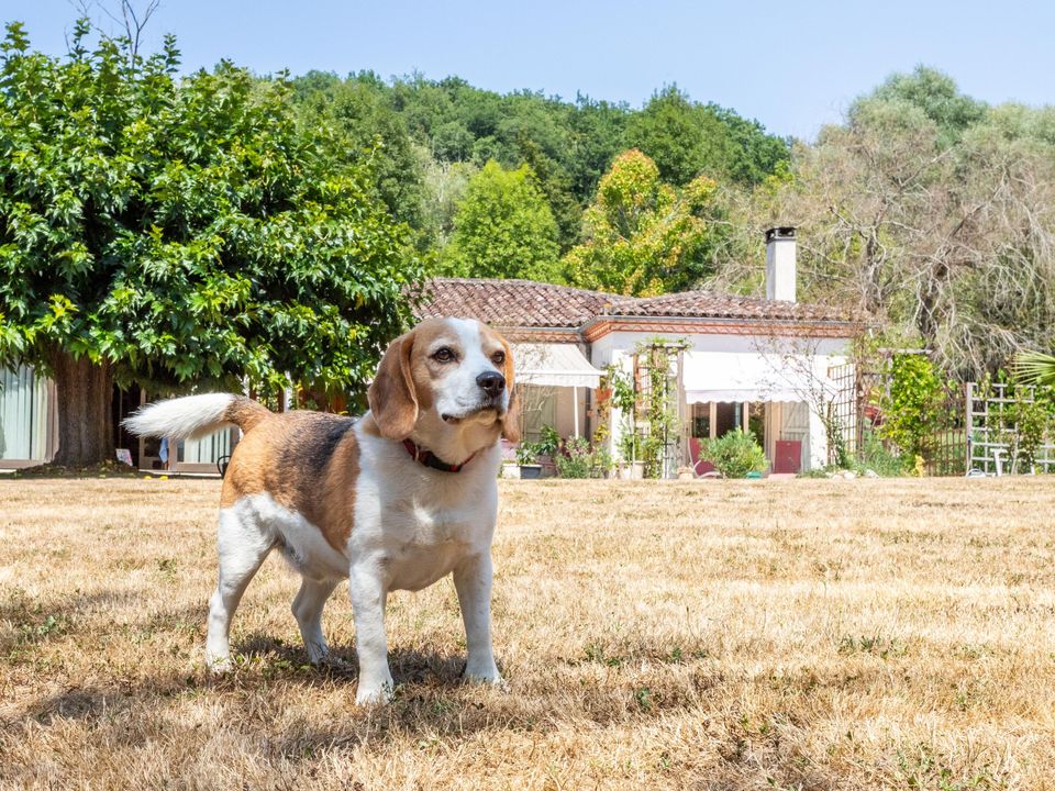 Villa i Saint-Maurin, Lot-et-Garonne - foto 3
