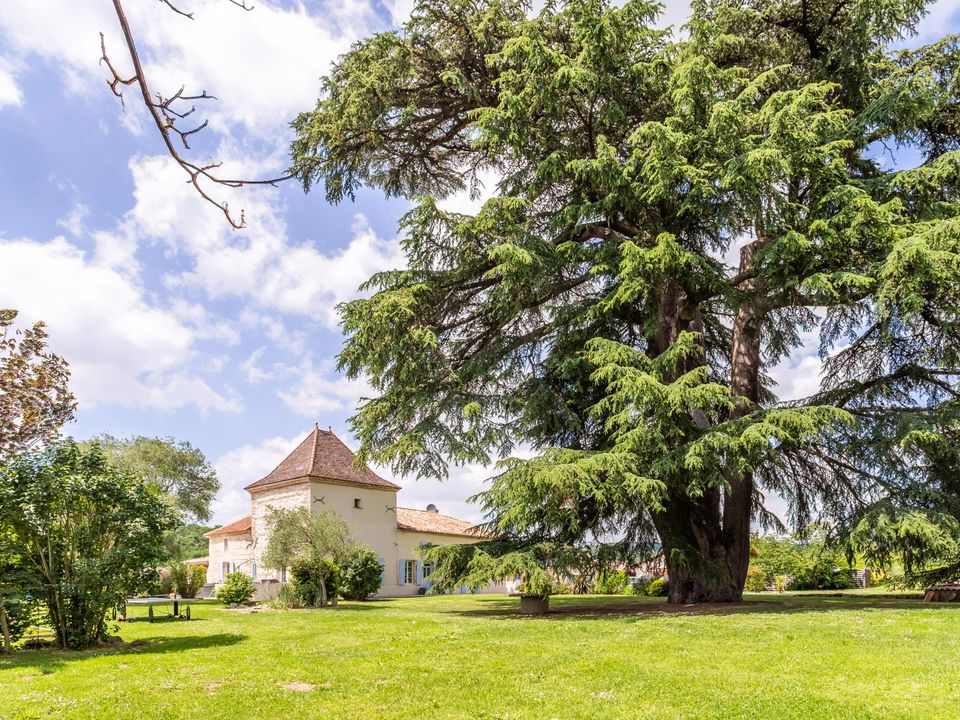Villa i Dolmayrac, Lot-et-Garonne - foto 3