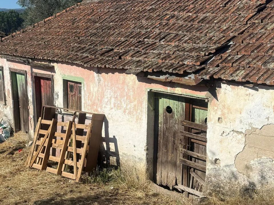 Farm i Vila Real, Vila Real - foto 3