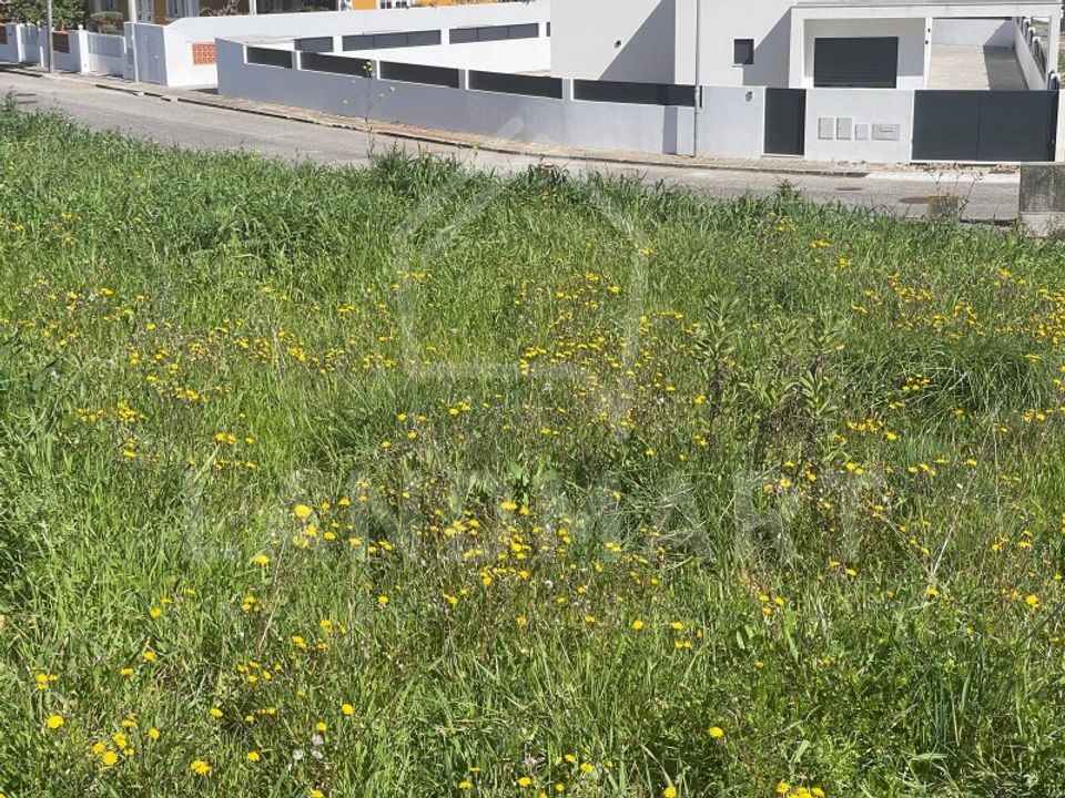 Terra a Turquel, Leiria - foto 3