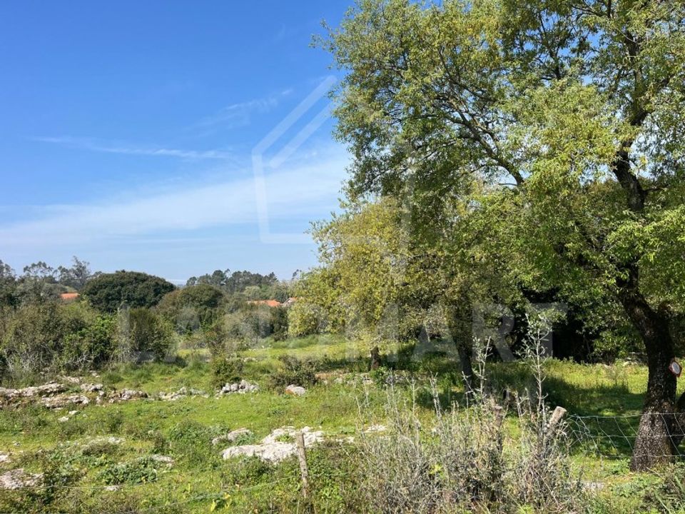 Helårsgrund i Turquel, Leiria - foto 3