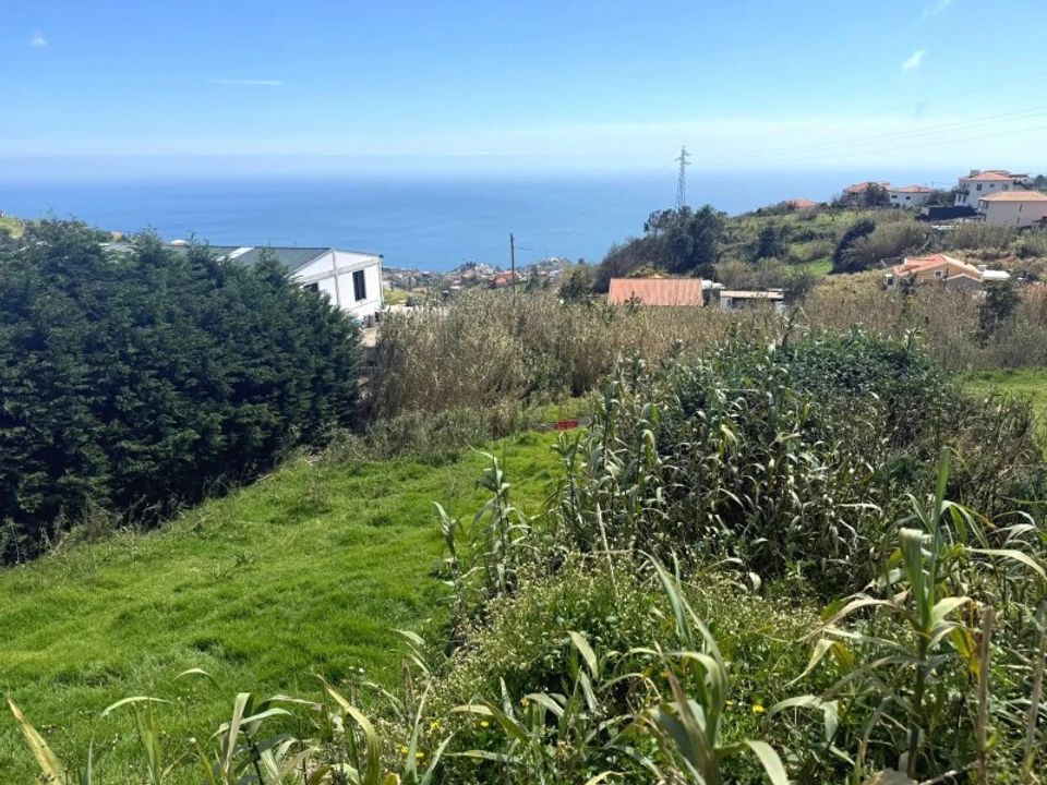 Helårsgrund i Ponta do Sol, Madeira - foto 3