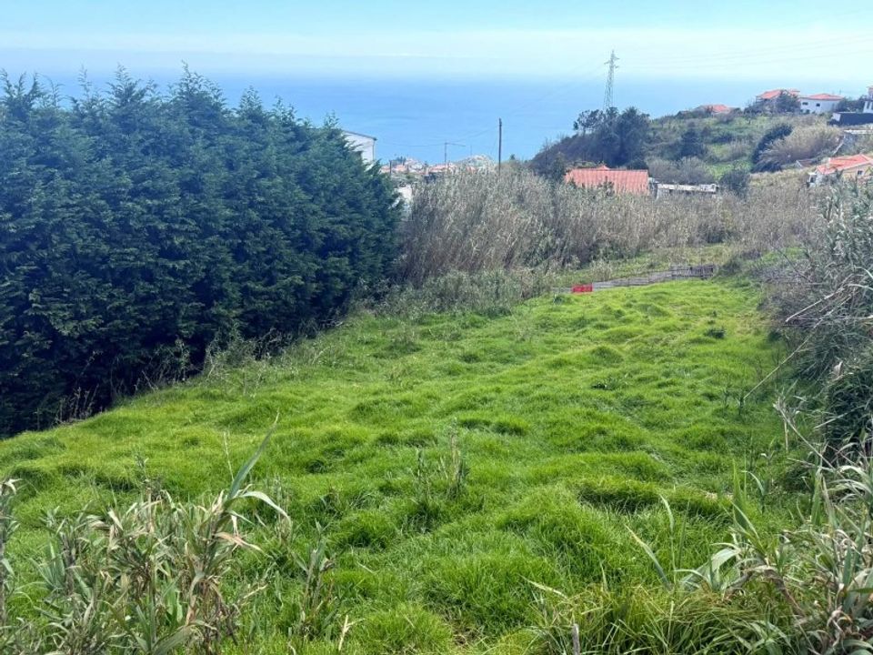 Helårsgrund i Ponta do Sol, Madeira - foto 4