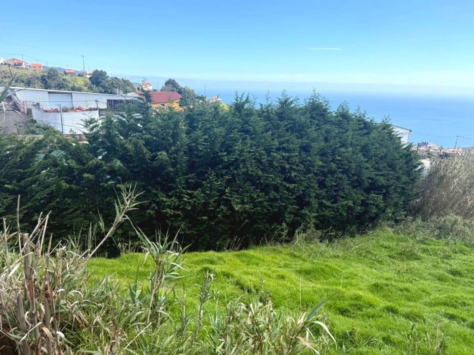 Helårsgrund i Ponta do Sol, Madeira - foto 5