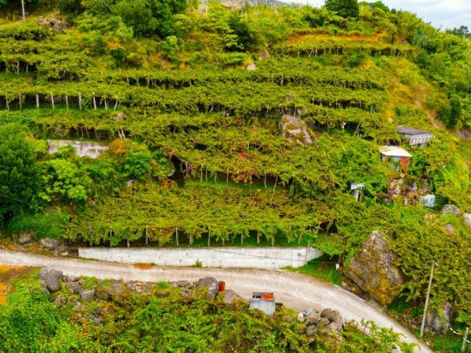 Helårsgrund i Sao Vincente, Madeira - foto 3