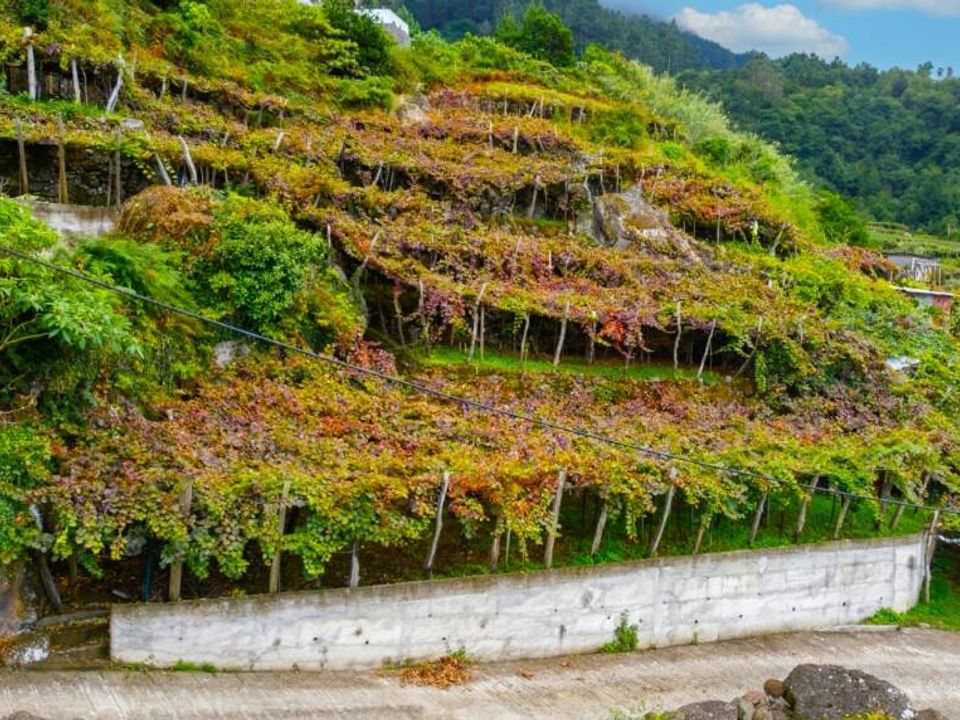 Helårsgrund i Sao Vincente, Madeira - foto 1
