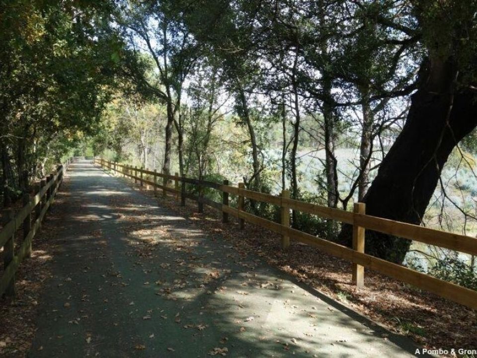 Helårsgrund i Sao Miguel do Outeiro e Sabugosa, Viseu - foto 4