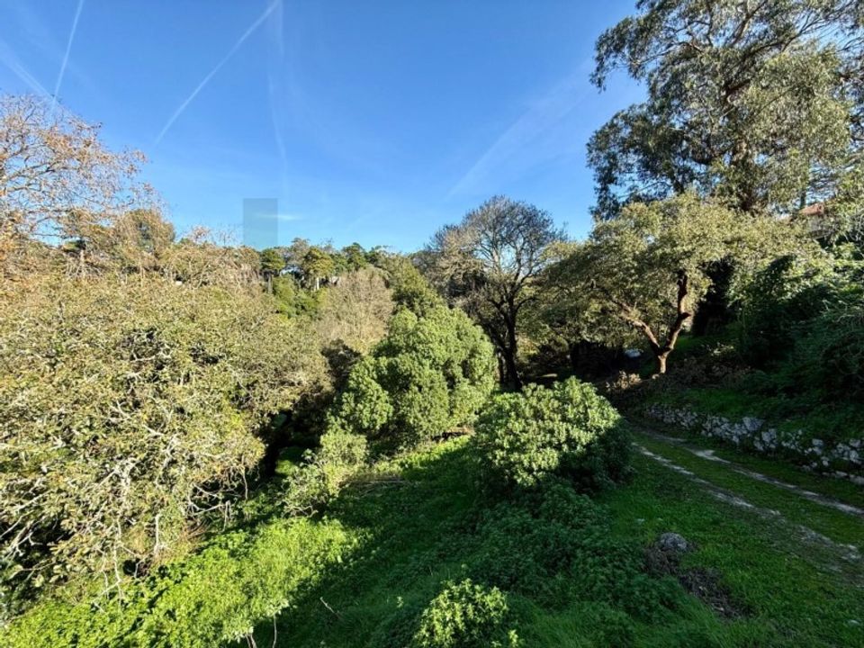 Villa i Sintra, Lisbon - foto 5