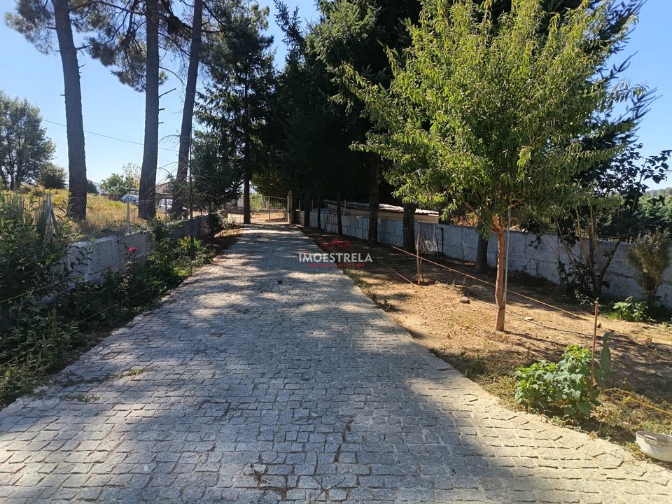 Villa i Trancoso, Guarda - bilde 5