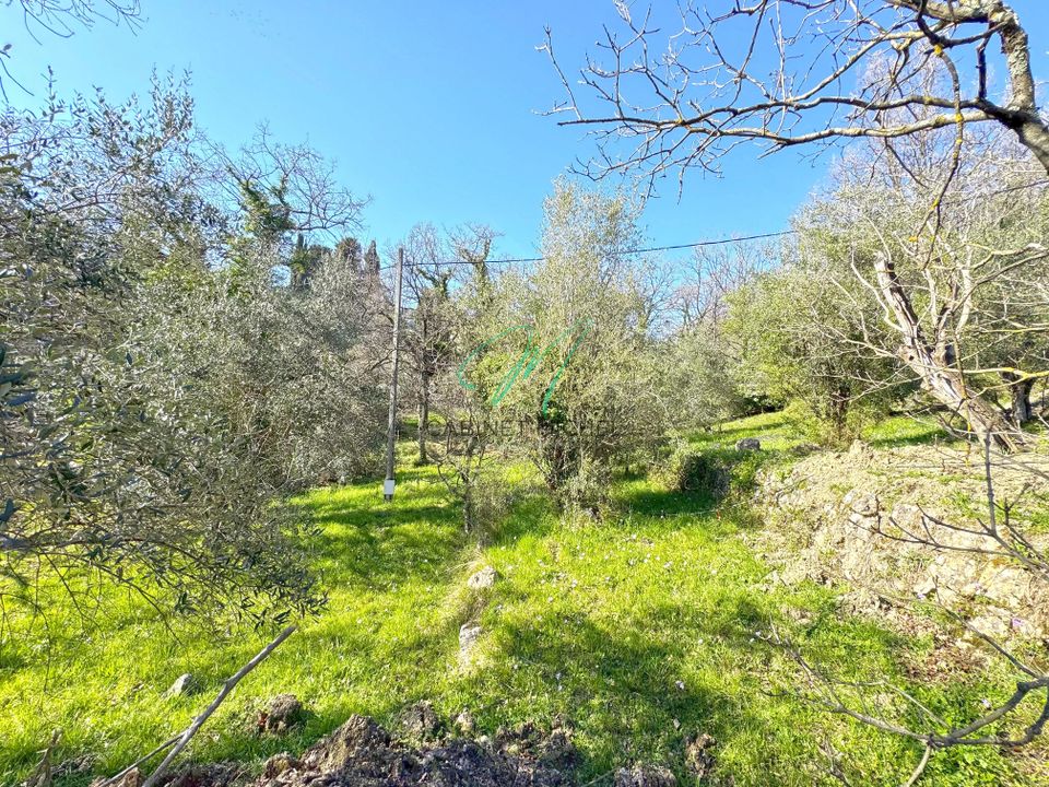 Helårsgrund i Opio, Alpes-Maritimes - foto 1