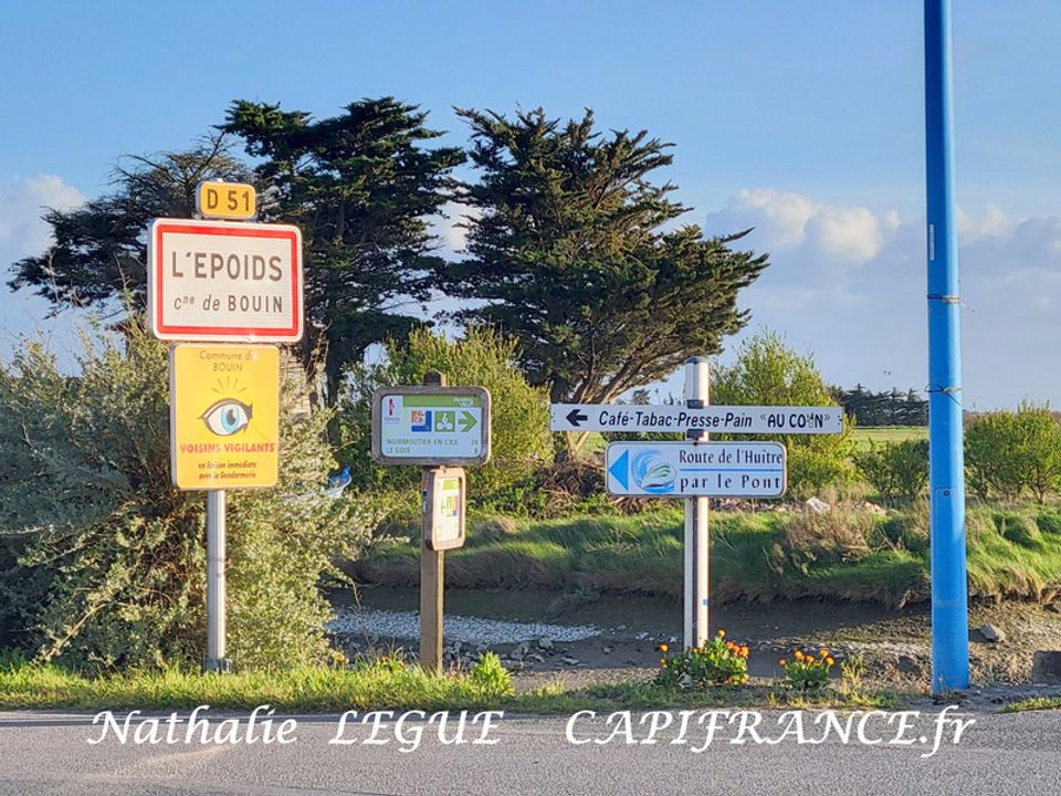 Villa i Beauvoir-sur-Mer, Vendee - foto 4