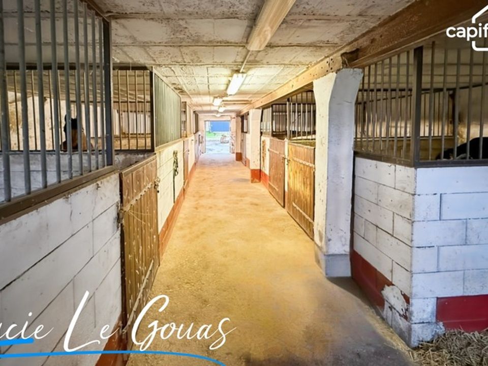 Farm i Azannes-et-Soumazannes, Meuse - foto 4