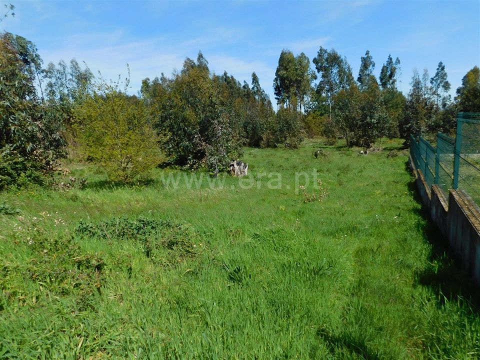 Helårsgrund i Seia, Guarda - foto 5