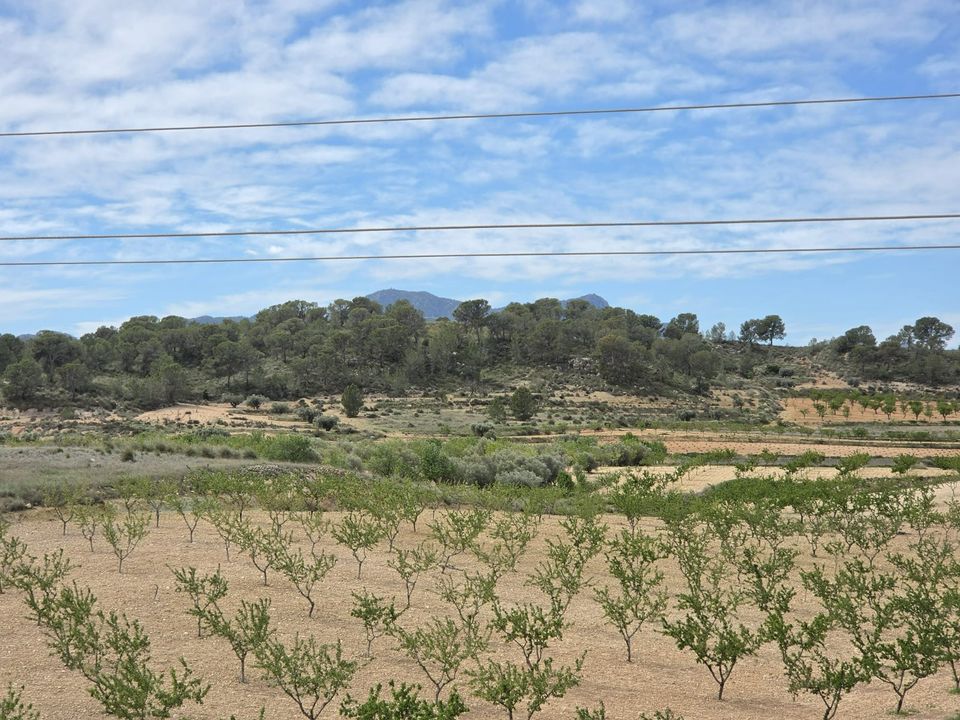 Helårsgrund i Jumilla, Murcia - foto 1
