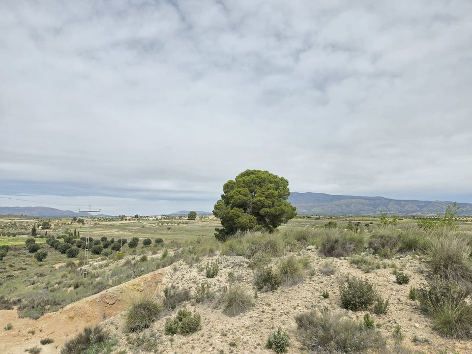 Helårsgrund i Jumilla, Murcia - foto 4