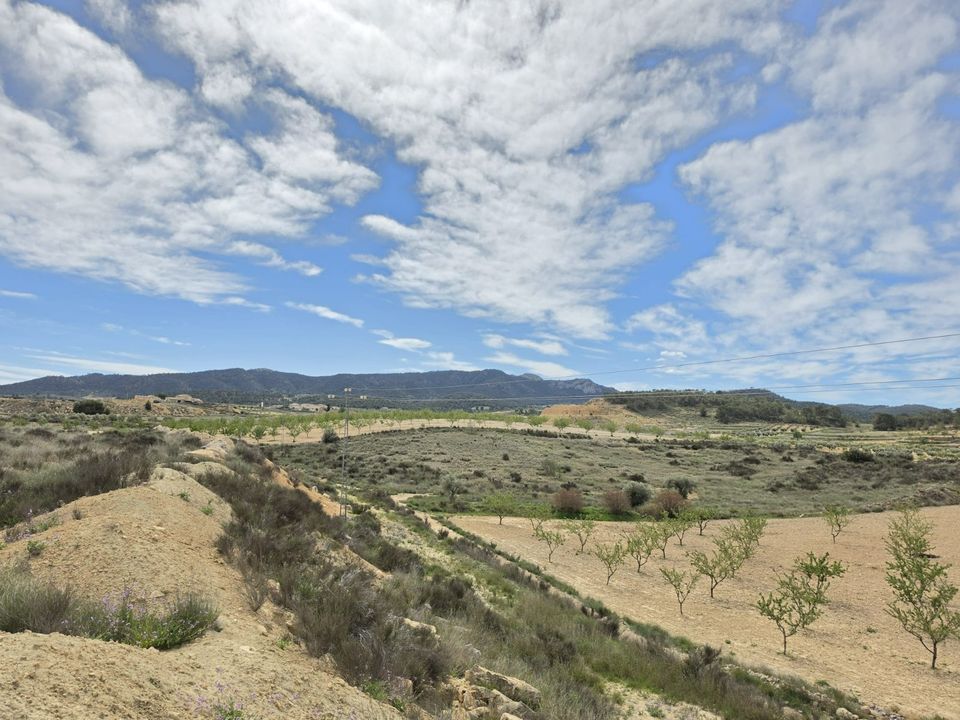 Helårsgrund i Jumilla, Murcia - foto 5