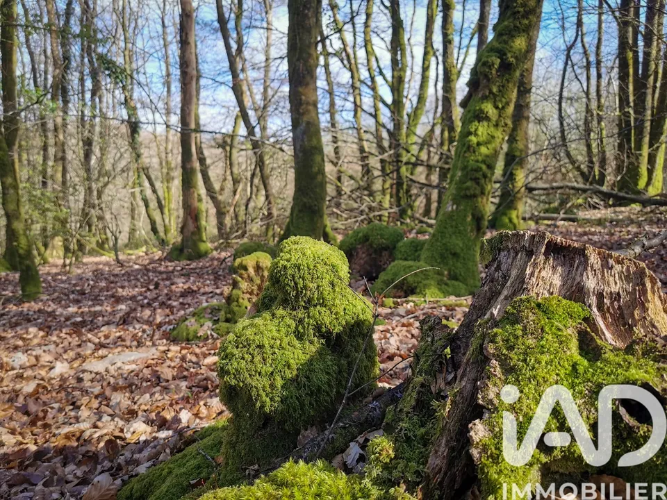 Helårsgrund i Poullaouen, Finistere - foto 2
