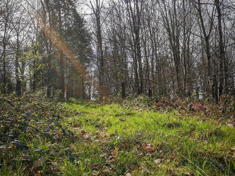 Helårsgrund i Poullaouen, Finistere - foto 4