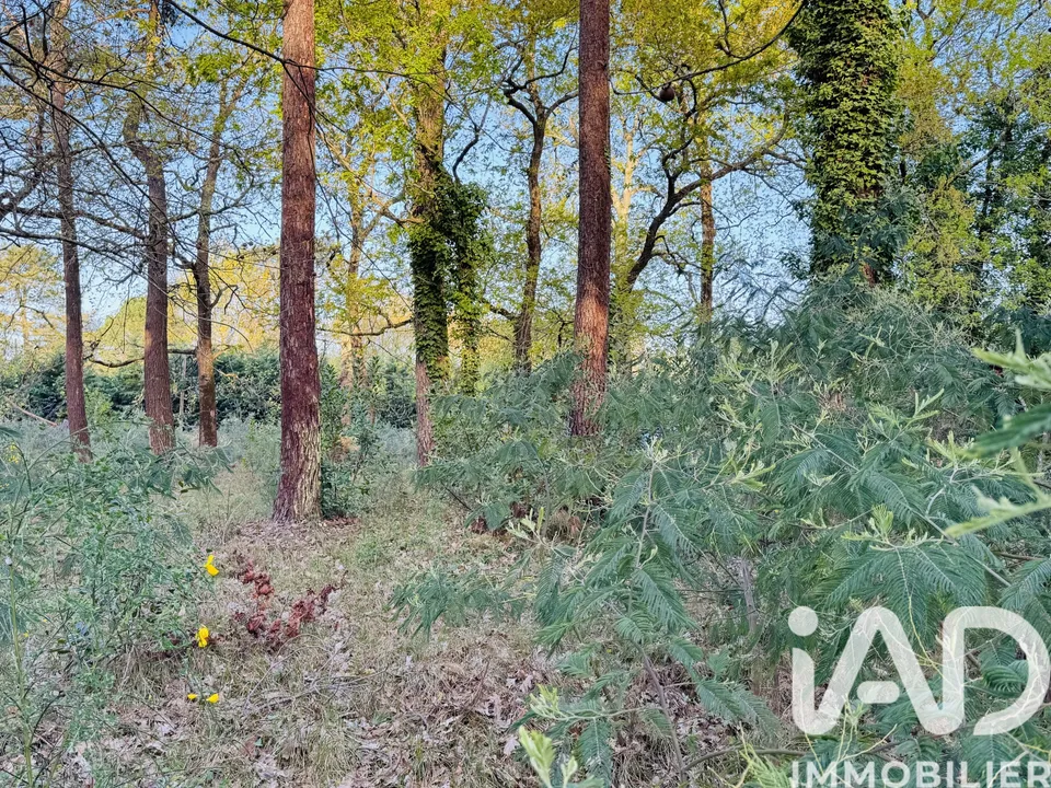 Terra a Soulac-sur-Mer, Gironde - foto 2