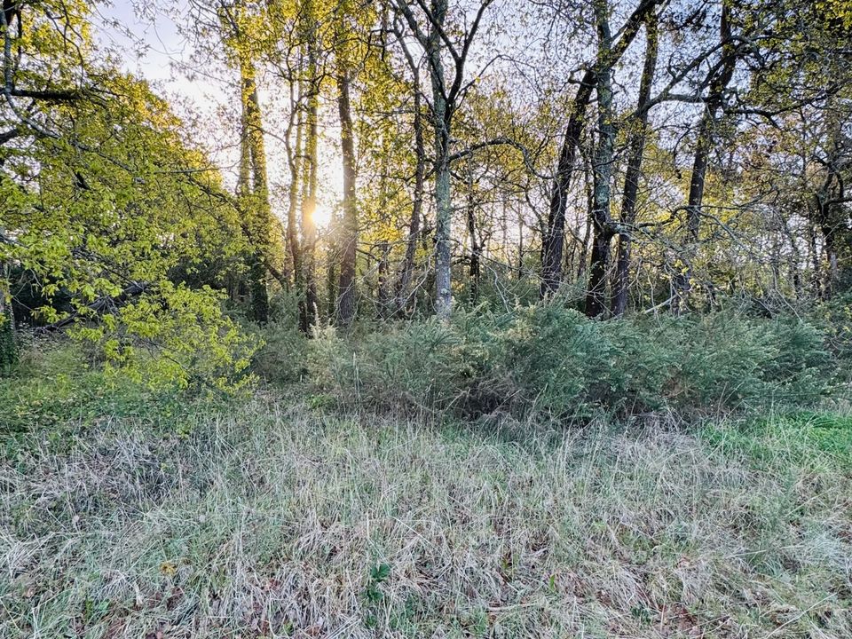 Terra a Soulac-sur-Mer, Gironde - foto 1