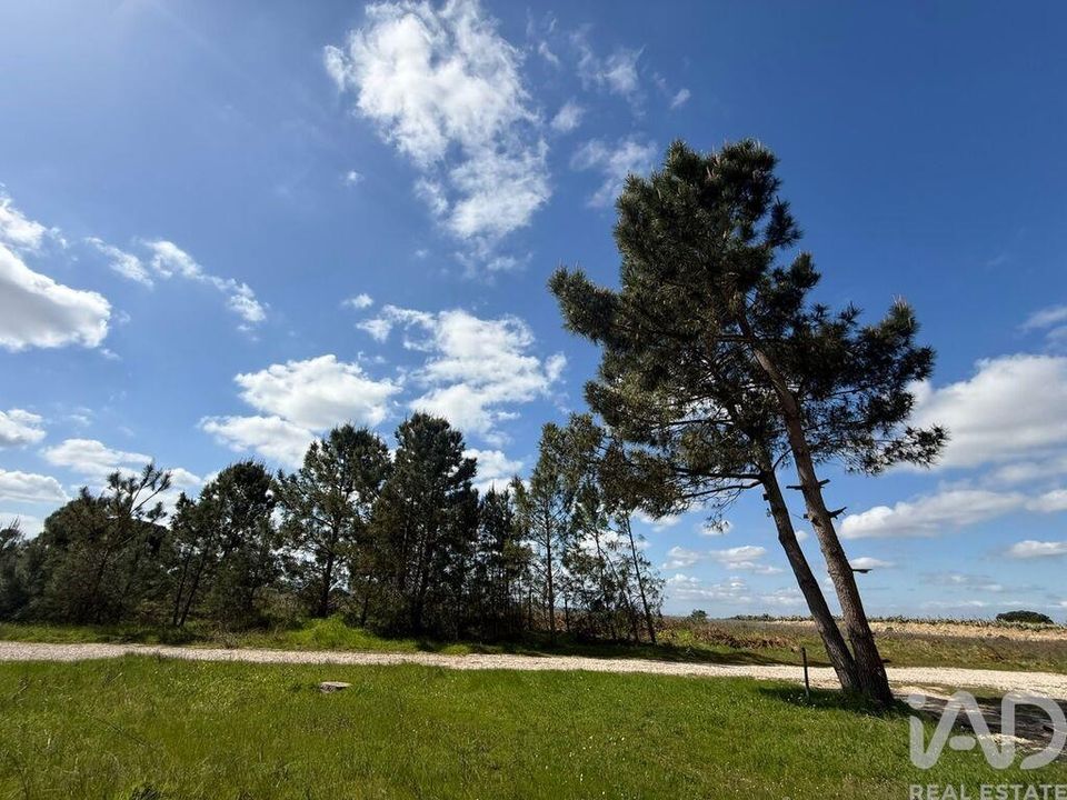 Helårsgrund i Palmela, Setubal - foto 2