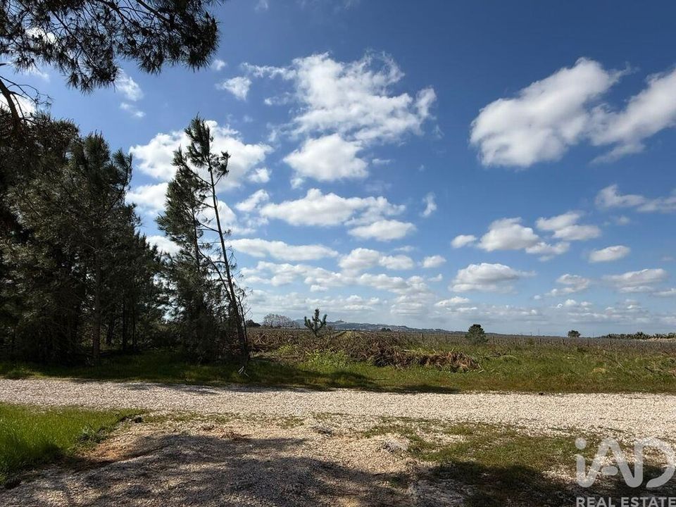 Helårsgrund i Palmela, Setubal - foto 3
