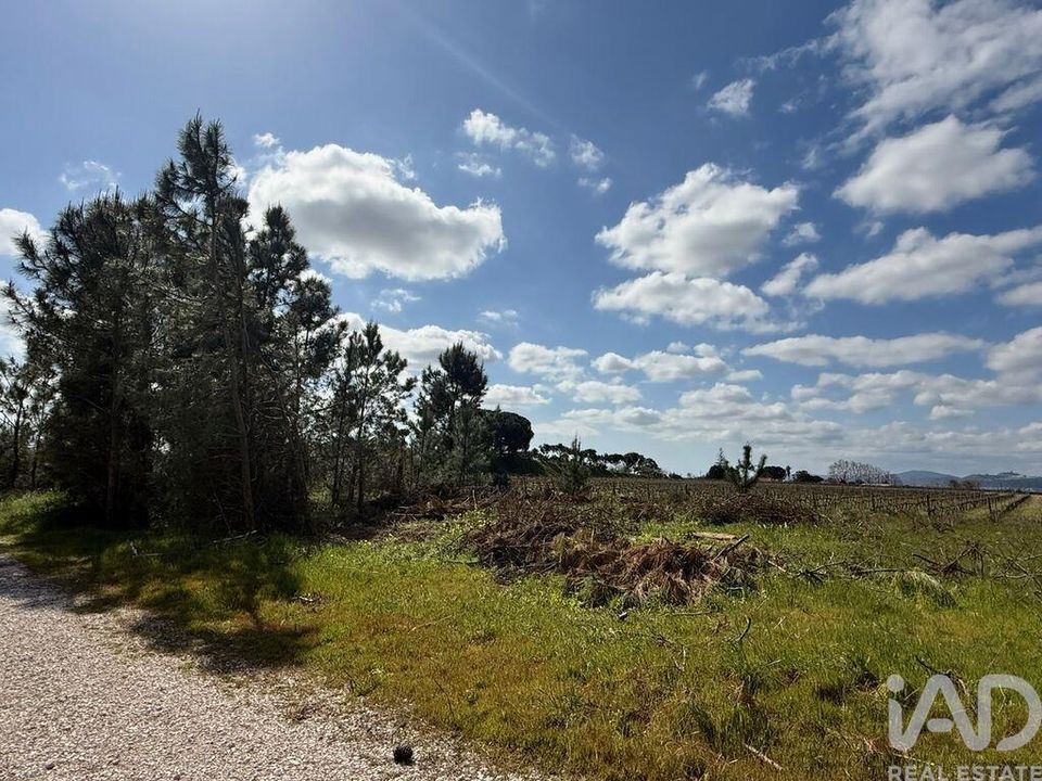 Helårsgrund i Palmela, Setubal - foto 4