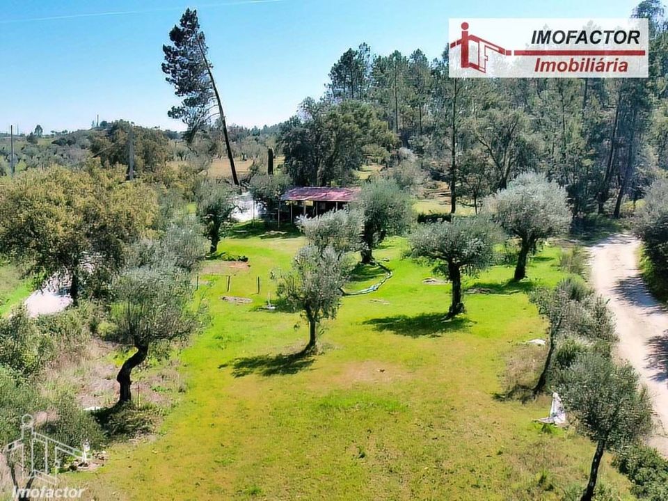 Helårsgrund i Castelo Branco, Castelo Branco - foto 4
