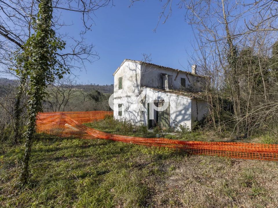 Landejendom i Colli al Metauro, Pesaro and Urbino - foto 4