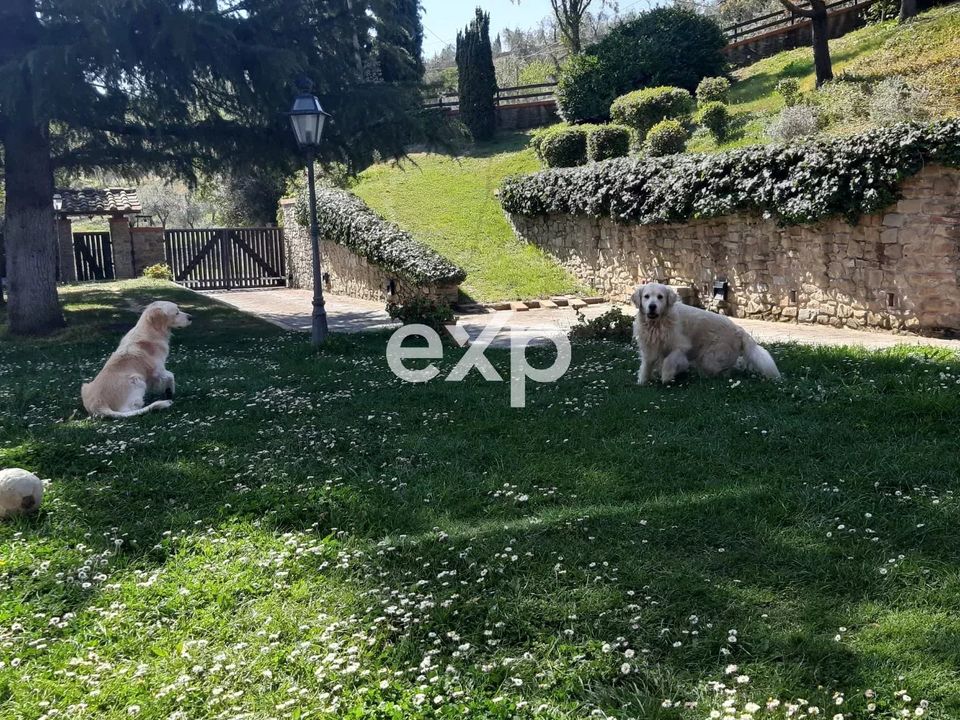 Villa i Arezzo, Arezzo - foto 5