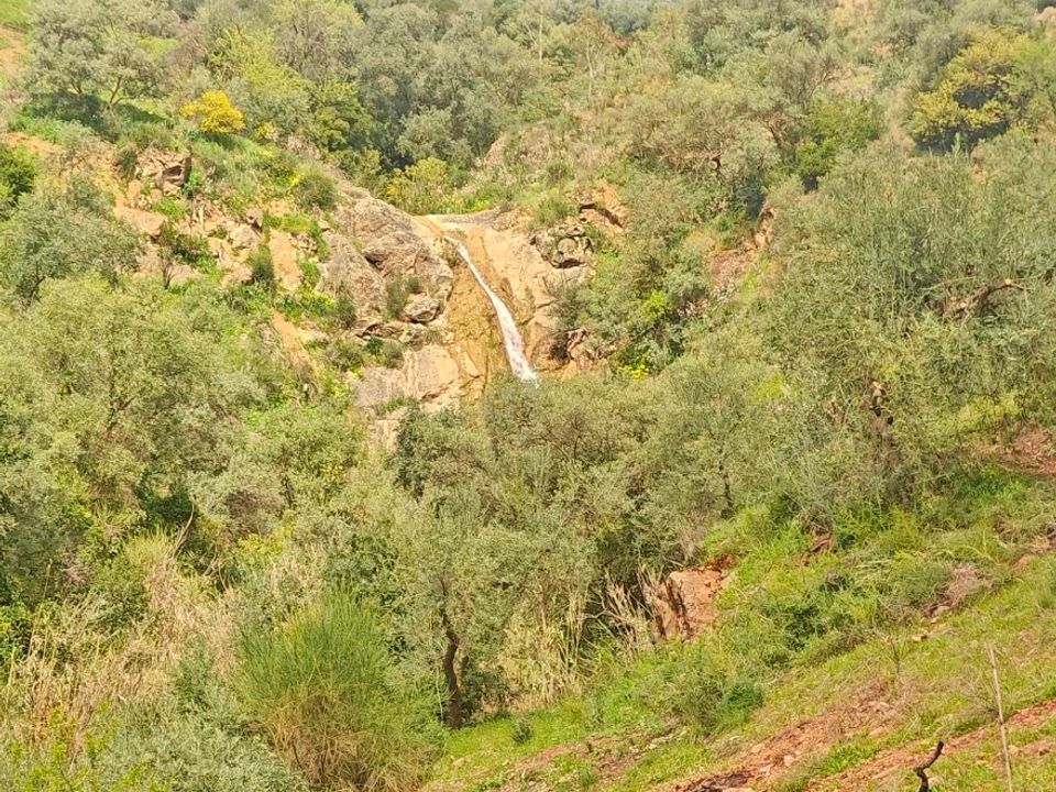 Herregård i Colmenar, Malaga - bilde 5