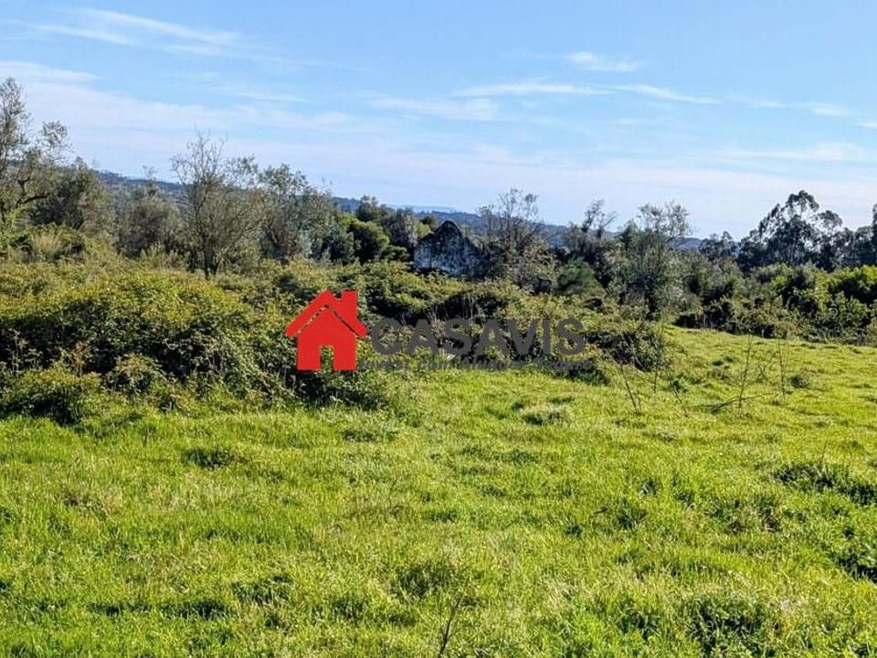 Farm hus i Mangualde, Viseu - foto 1