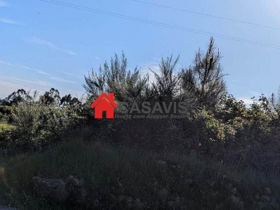Farm hus i Mangualde, Viseu - foto 2