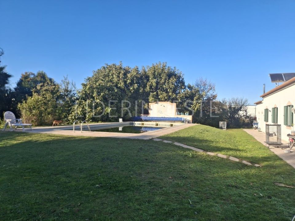 Farm i Beja, Beja - foto 4