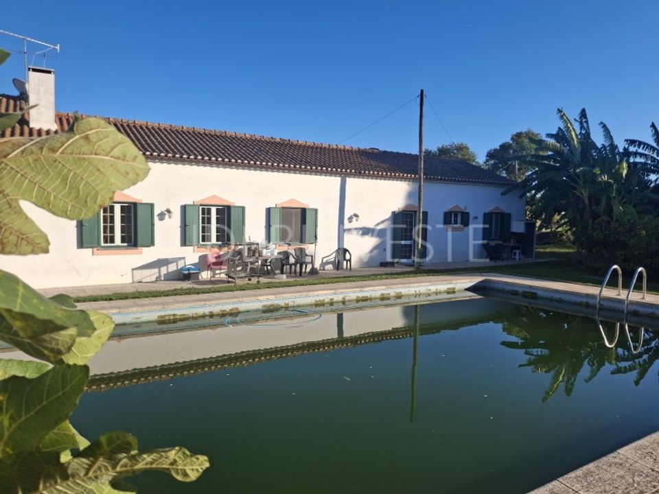 Farm i Beja, Beja - foto 2