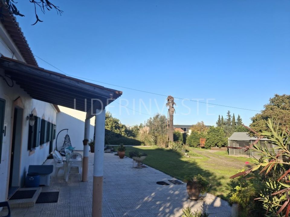 Farm i Beja, Beja - foto 5