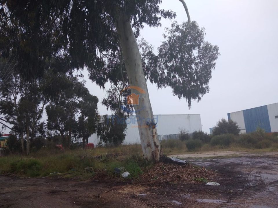 Helårsgrund i Quinta do Anjo, Setubal - foto 2