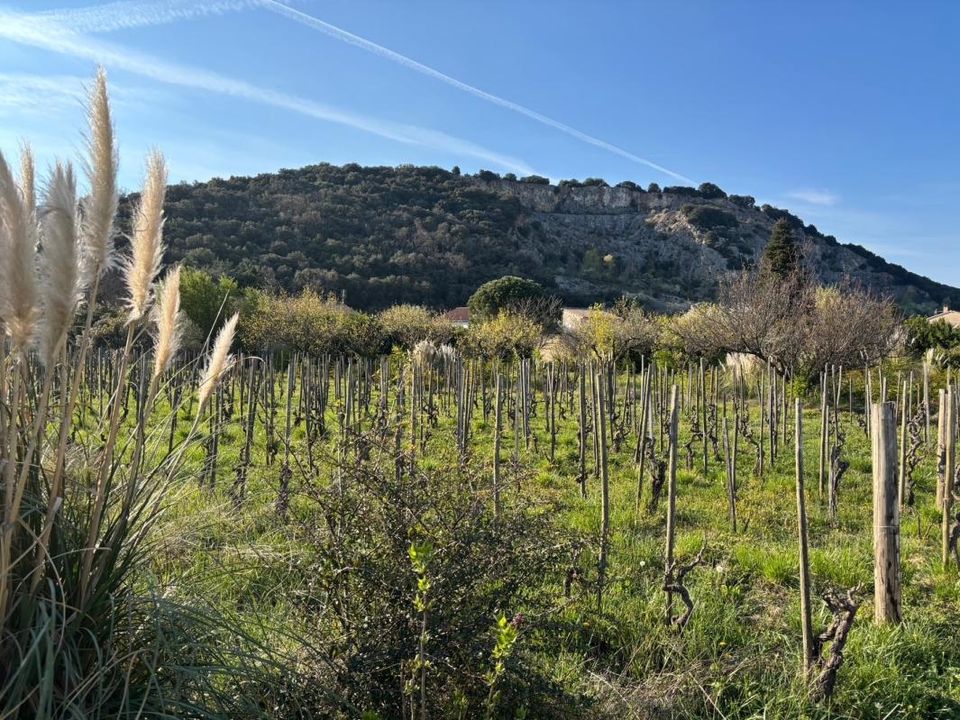Helårsgrund i Cornas, Ardeche - foto 1