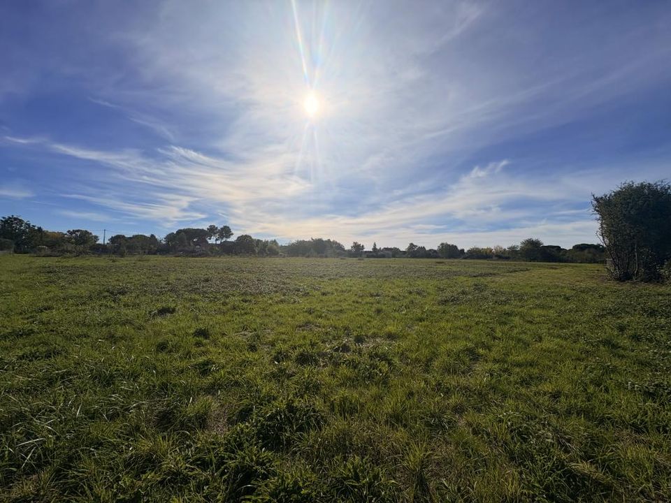 Helårsgrund i Saint-Nexans, Dordogne - foto 1