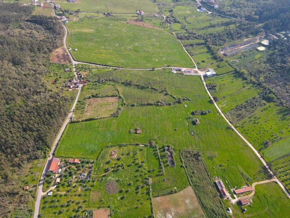 Helårsgrund i Ferreira do Zezere, Santarem - foto 4